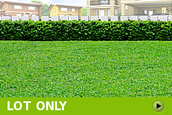 Lot for Sale in Camella Dumaguete